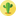 cms-cactus