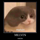 Melvin Leguijt's avatar